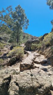 2023-04-GranCan-Roque_Nublo-054.jpg